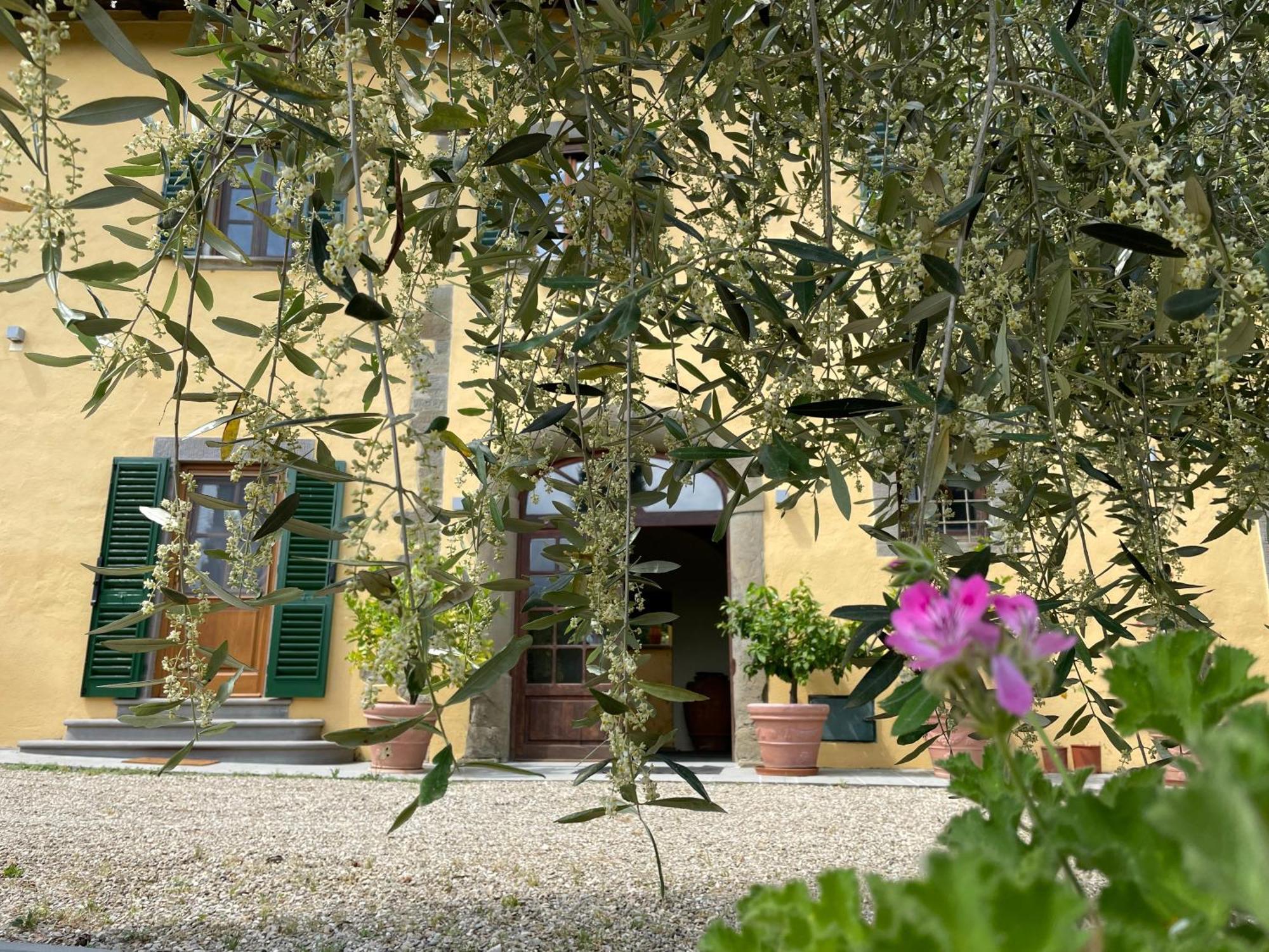 Villa Rigacci Reggello Eksteriør bilde